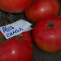 Beskrivning av tomatsorten Min familj, odlingsegenskaper och avkastning