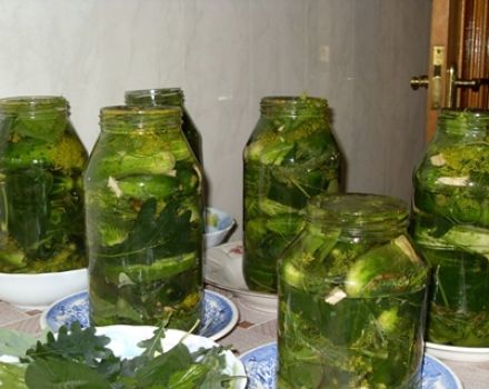 Recepty na uhorky uhorky s dubovými listami na zimu v pohári