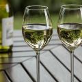 4 paprasti naminio žaliojo vynuogių vyno receptai