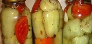 Topp 10 recept för matlagning paprika fyllda med kål för vintern