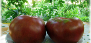 Charakteristika a opis odrôd paradajok odrody rajčiakov Gnome, ich výnos