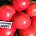 Lionheart tomātu šķirnes apraksts, tās īpašības un produktivitāte