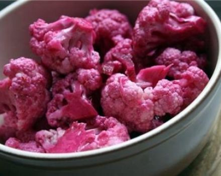 Beetroot Pickled Cauliflower Recipes