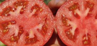 Popis odrůdy rajčat Supernova a její vlastnosti
