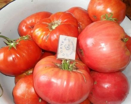Descripción de la variedad de tomate Azúcar rosa, características de cultivo y cuidado.