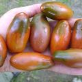 Beskrivning av tomatsorten Istisvart, odlingsfunktioner