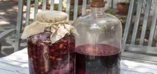 11 lette opskrifter til fremstilling af kirsebærvin trin for trin derhjemme
