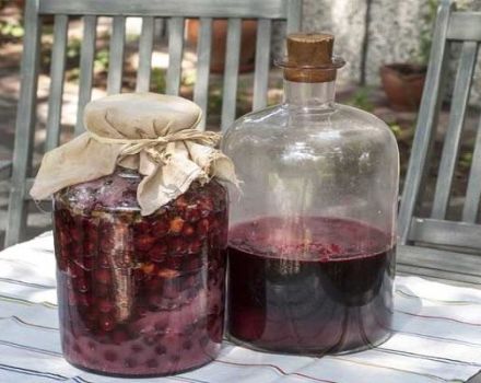 11 enkla recept för att göra körsbärsvin steg för steg hemma
