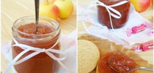 Steg för steg recept för att göra äpplesylt i en långsam spis för vintern