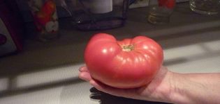Egenskaper och beskrivning av tomatsorten ryska själen