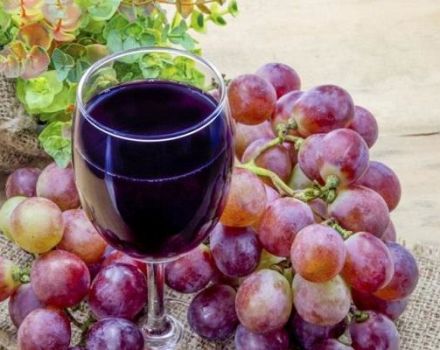 3 geriausi naminio rožių vynuogių vyno receptai