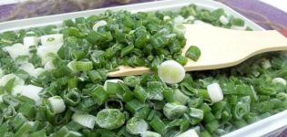 ТОП 13 рецепата како жетву зеленог лука за зиму