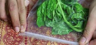 ¿Cómo puede guardar albahaca fresca en el refrigerador para el invierno en casa?