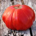 Description of the Siberian Trump tomato variety and its characteristics