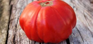 Descrizione della varietà di pomodoro Trump siberiano e delle sue caratteristiche