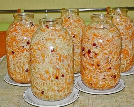 13 best homemade sauerkraut recipes