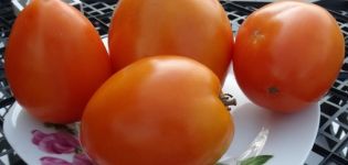 Pomidorų veislės Marmeladas produktyvumas, savybės ir aprašymas