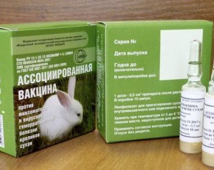 Instructies voor het bijbehorende vaccin voor konijnen en hoe te vaccineren