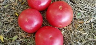 Pomidorų veislės aviečių žiedų savybės ir aprašymas, derlius