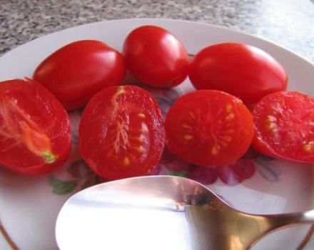 Pomidorų saldainių veislės aprašymas, auginimo ypatybės ir derlius