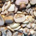 Wie man Austernpilze für den Winter zu Hause einfriert