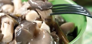 Recipes on how to quickly and tasty salt oyster mushrooms at home