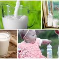 Benefici e rischi del latte di capra per il corpo, composizione chimica e modalità di scelta