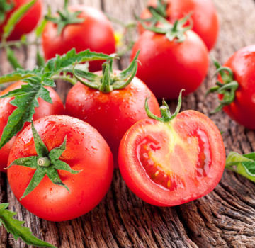 Các giống cà chua tốt nhất và năng suất nhất cho đất trống và nhà kính ở Urals