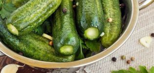 5 jednoduchých receptov na solené uhorky s octom na zimu
