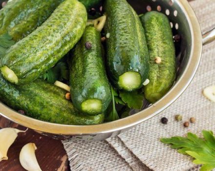 5 simple recipes for salted cucumbers with vinegar for the winter