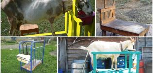 Mått och ritningar av mjölkningsmaskiner för getter och hur man gör det själv