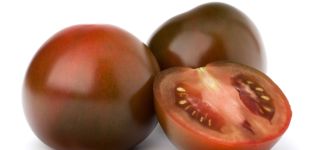 Kenmerken en beschrijving van de tomatenvariëteit Black Prince, de opbrengst