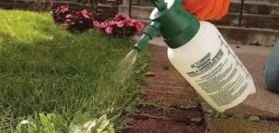 Instruktioner för användning av herbicid Lontrel ogräsbekämpning
