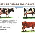 Kādi faktori ietekmē piena ražošanu govīs un to noteikšanas metodes