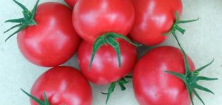 Egenskaber og beskrivelse af Verlioka-tomatsorten, dens udbytte og dyrkning