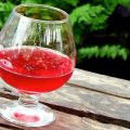 TOP 6 enkla recept för att göra vin från vattenmelon hemma