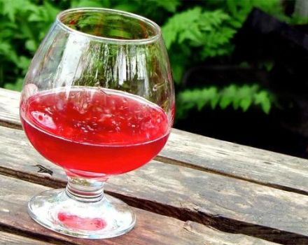 TOP 6 paprasti receptai gaminant vyną iš arbūzo namuose