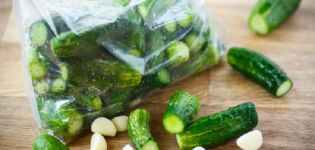 Øjeblikkelig opskrifter på sprøde let saltede agurker i en pakke på 5 minutter