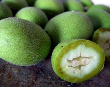 Milloin ja miten vihreät saksanpähkinät kerätään oikein, varastointisäännöt