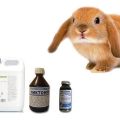 Jaké vitamíny jsou potřebné pro králíky a co obsahují, TOP 6 léků