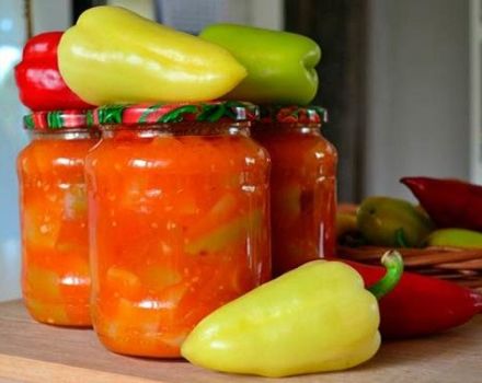 9 geriausi žingsnis po žingsnio receptai pipirų pomidorams gaminti žiemai