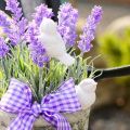 Useful properties and contraindications of lavender for the body, application features