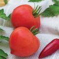 Egenskaper och beskrivning av tomatsorten Donskoy f1