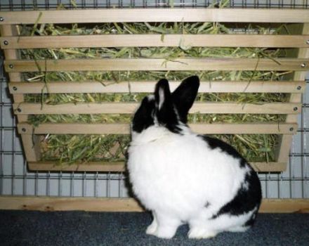 Mått och ritningar av de 10 bästa typerna av kaninmatare