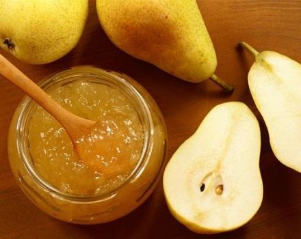 13 bästa recept för att förbereda päronämnen för vintern