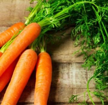 De ce sunt morcovii buclați și ce să fac, remedii și metode populare