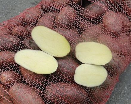 Descripció de la varietat de patates Irbitsky, recomanacions per al cultiu i el rendiment