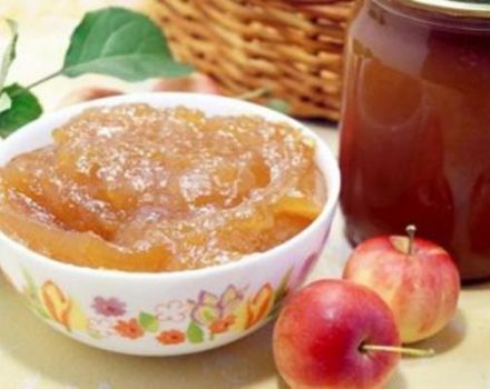 12 migliori ricette per preparare la marmellata di fette di mela ambrata per l'inverno
