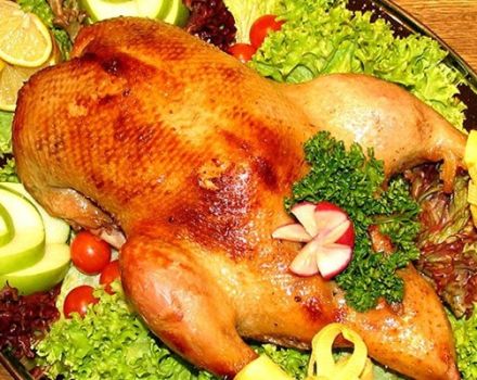 TOP 15 jednoduchých a chutných receptov na varenie kačice v rúre, aby bola šťavnatá a mäkká