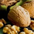 20 meilleures variétés de noix avec description et caractéristiques